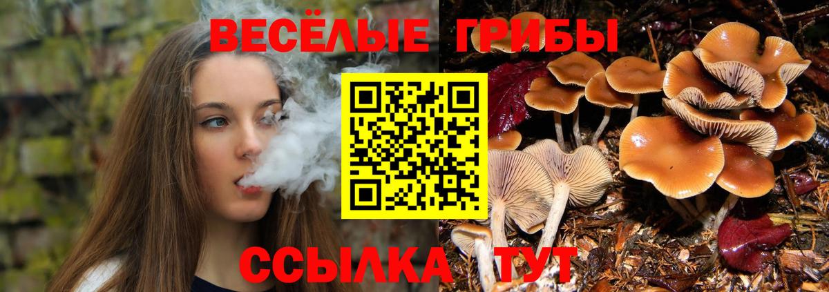 Галлюциногенные грибы Psilocybine cubensis  Вход с VPN  Петрозаводск 